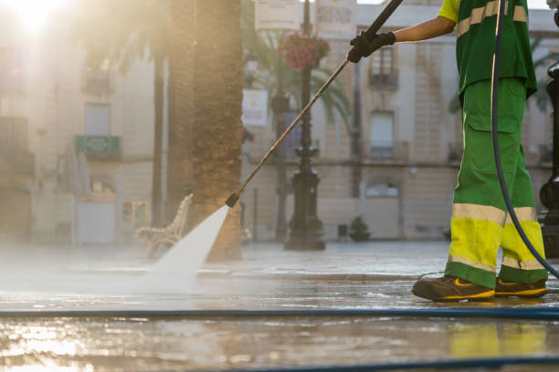 Best Concrete Pressure Washing  in Amboy, IL